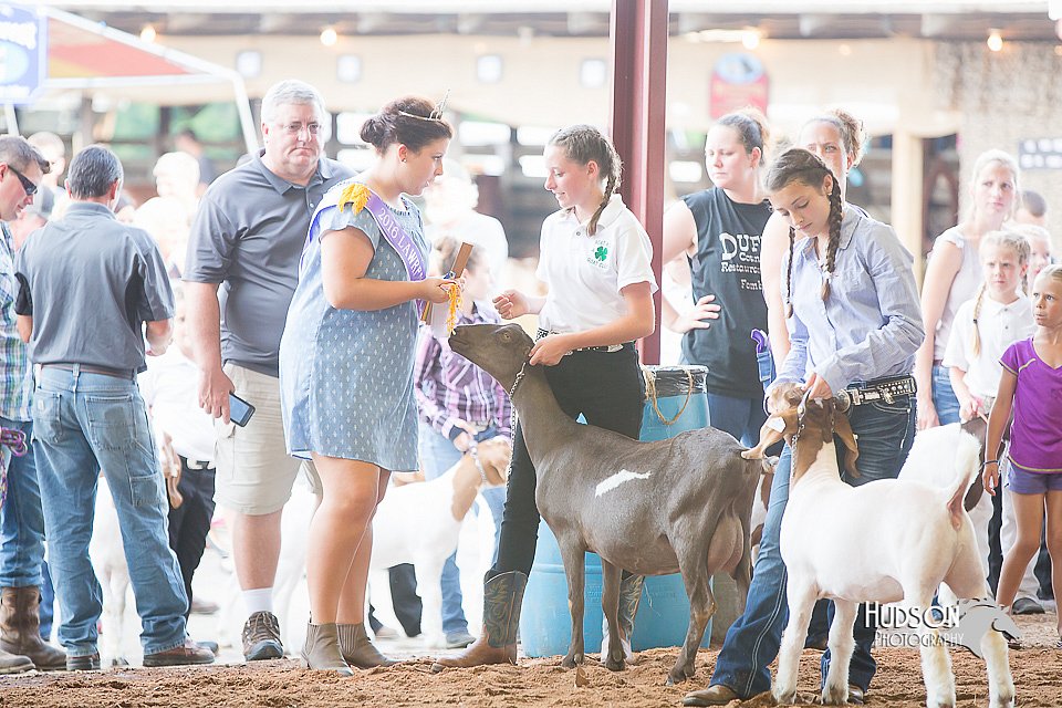 LCFair2016-1458.jpg