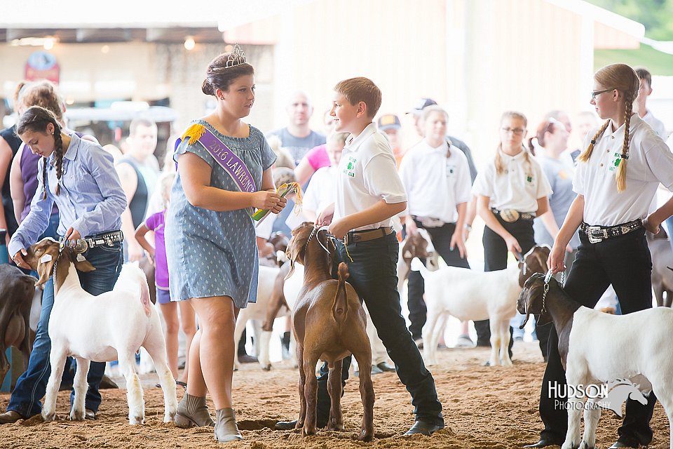 LCFair2016-1460.jpg