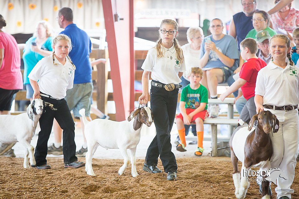 LCFair2016-1466.jpg