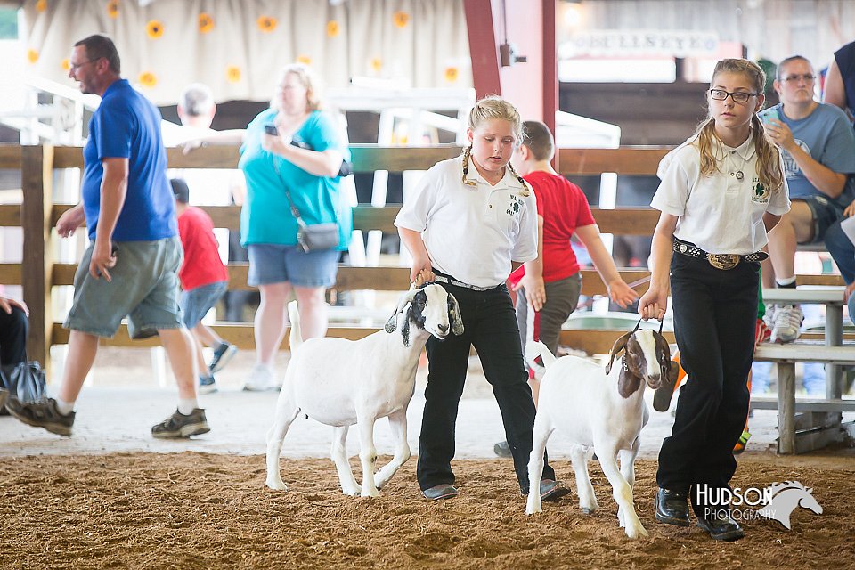 LCFair2016-1467.jpg