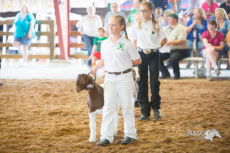 LCFair2016-1468.jpg