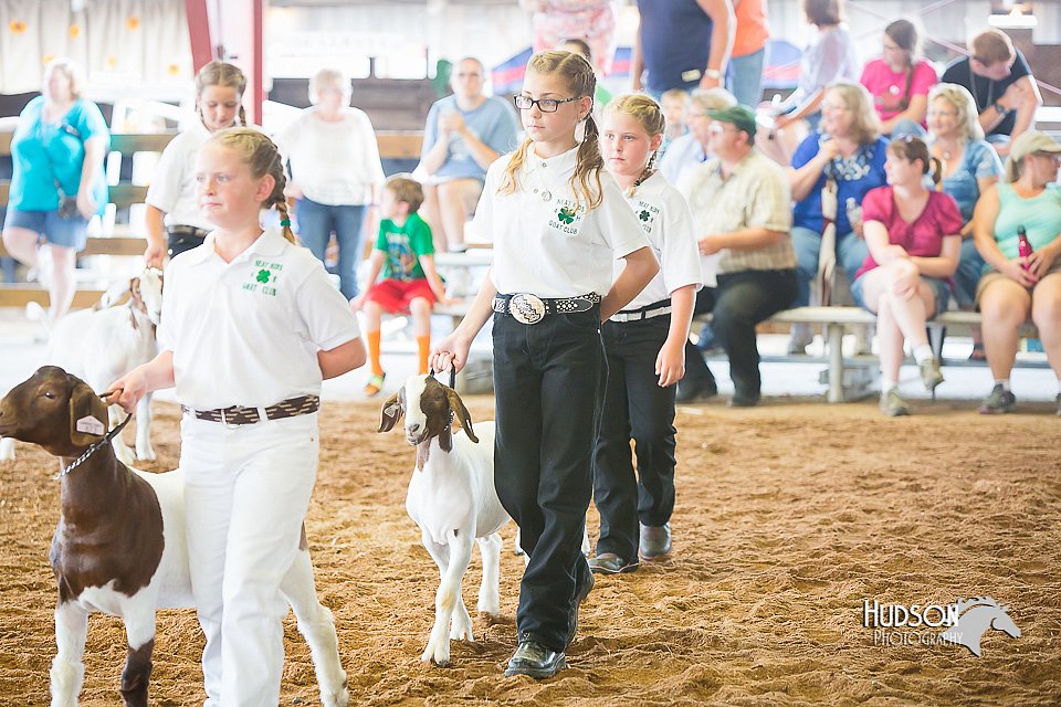 LCFair2016-1469.jpg