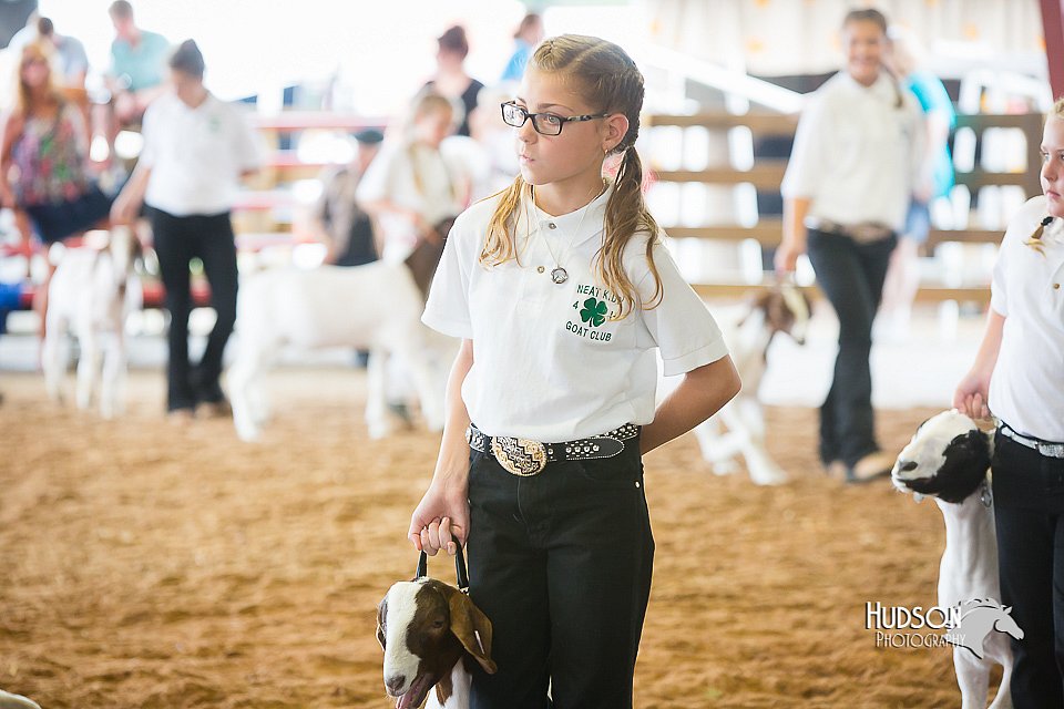 LCFair2016-1472.jpg