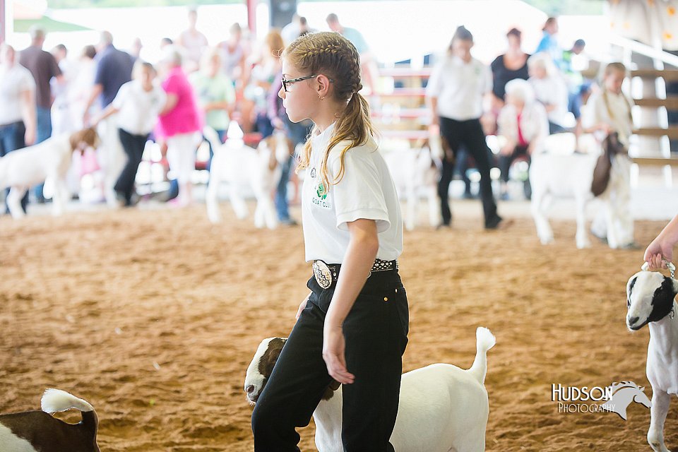 LCFair2016-1473.jpg