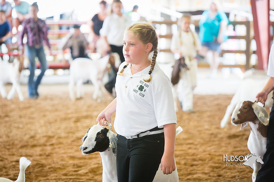 LCFair2016-1474.jpg