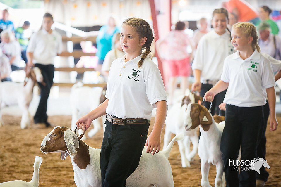 LCFair2016-1475.jpg