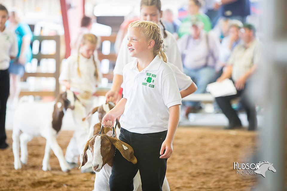 LCFair2016-1476.jpg