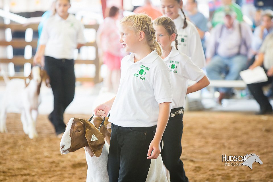LCFair2016-1477.jpg