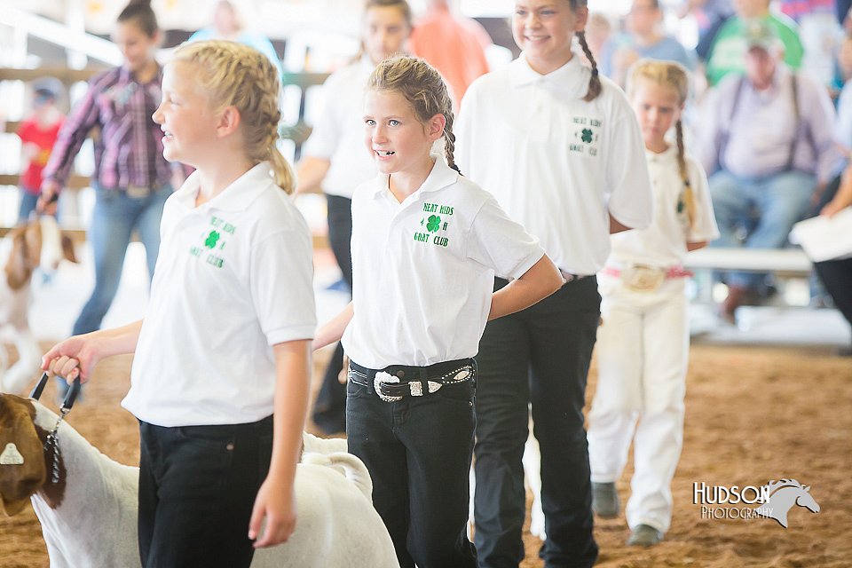 LCFair2016-1478.jpg