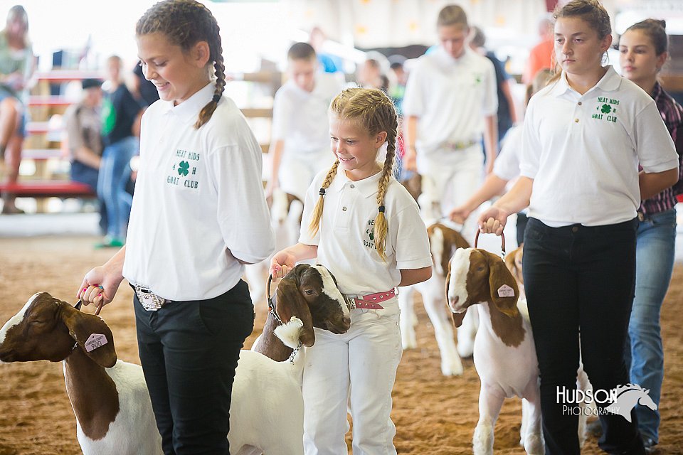 LCFair2016-1480.jpg