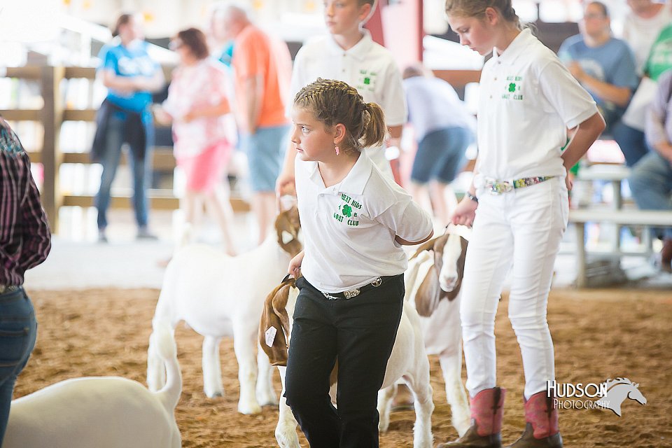 LCFair2016-1483.jpg