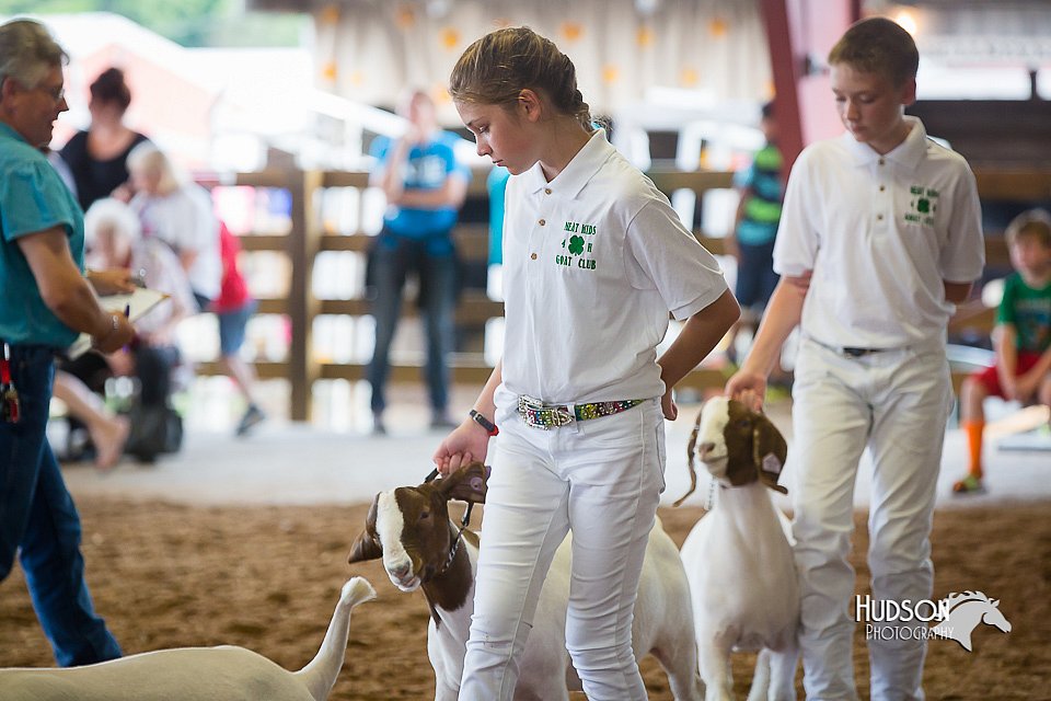 LCFair2016-1484.jpg