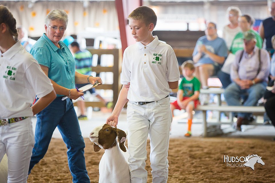 LCFair2016-1485.jpg