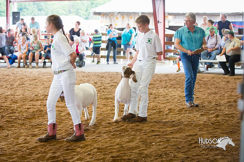LCFair2016-1486.jpg