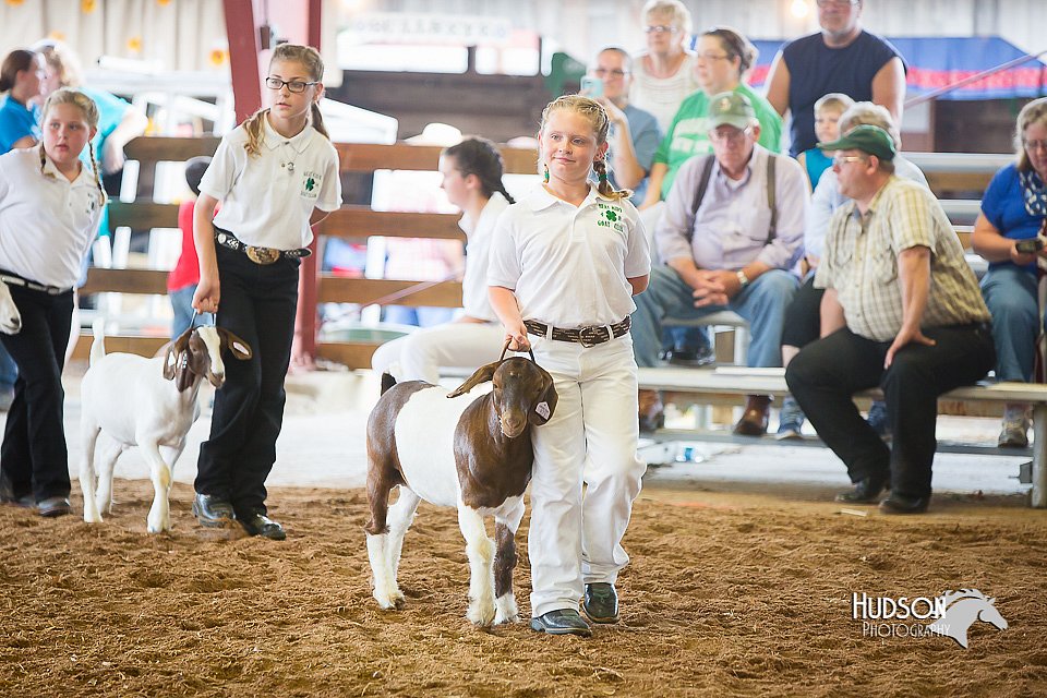 LCFair2016-1487.jpg