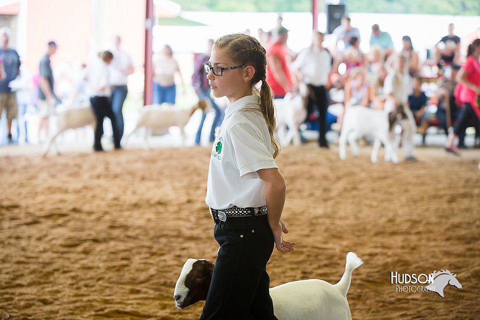 LCFair2016-1493.jpg