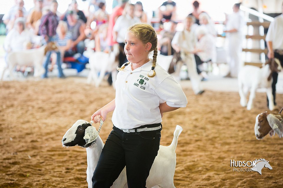 LCFair2016-1494.jpg