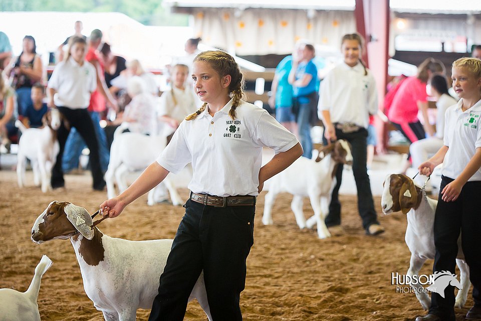 LCFair2016-1495.jpg