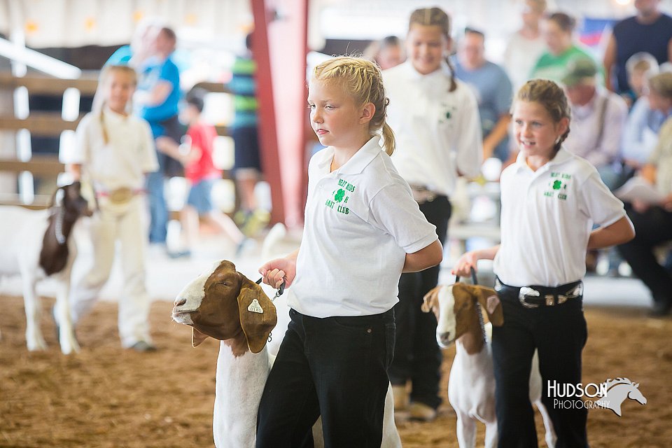 LCFair2016-1496.jpg