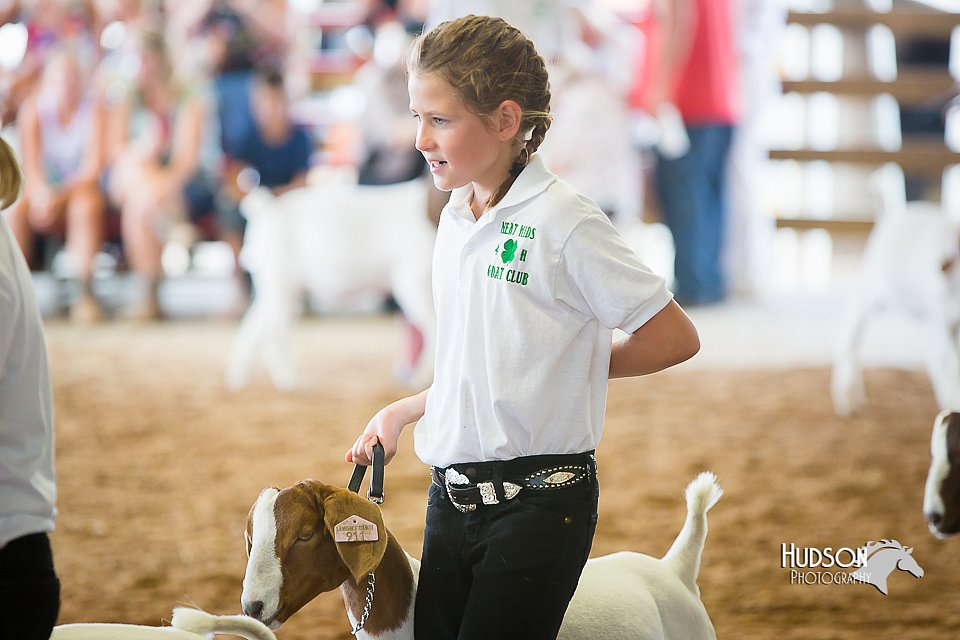 LCFair2016-1497.jpg