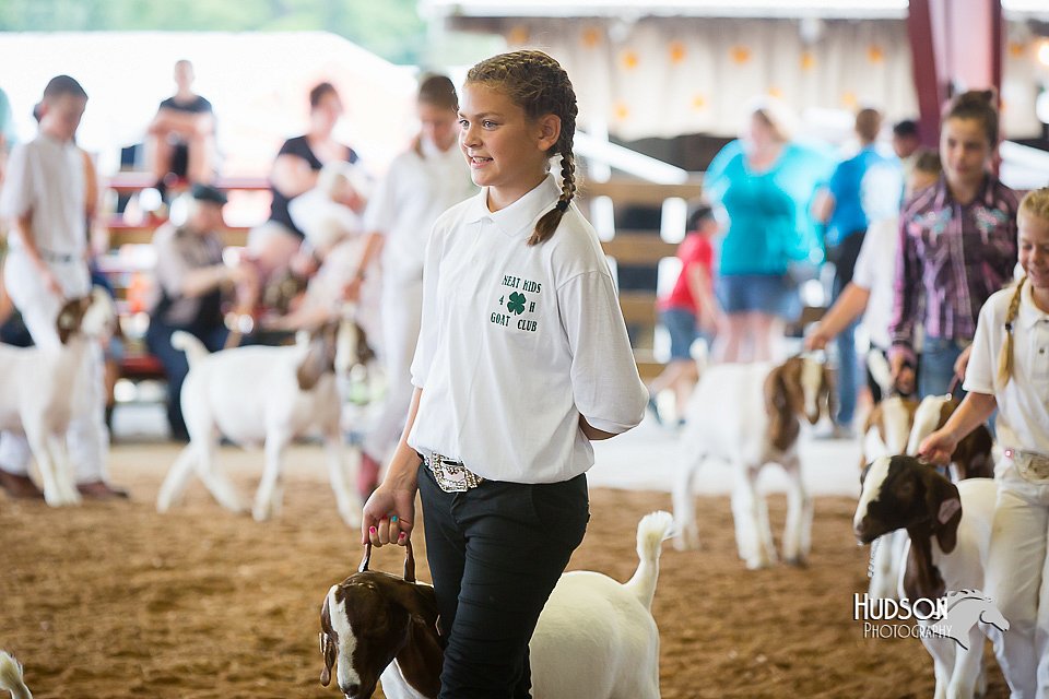 LCFair2016-1498.jpg
