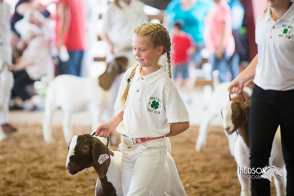 LCFair2016-1499.jpg