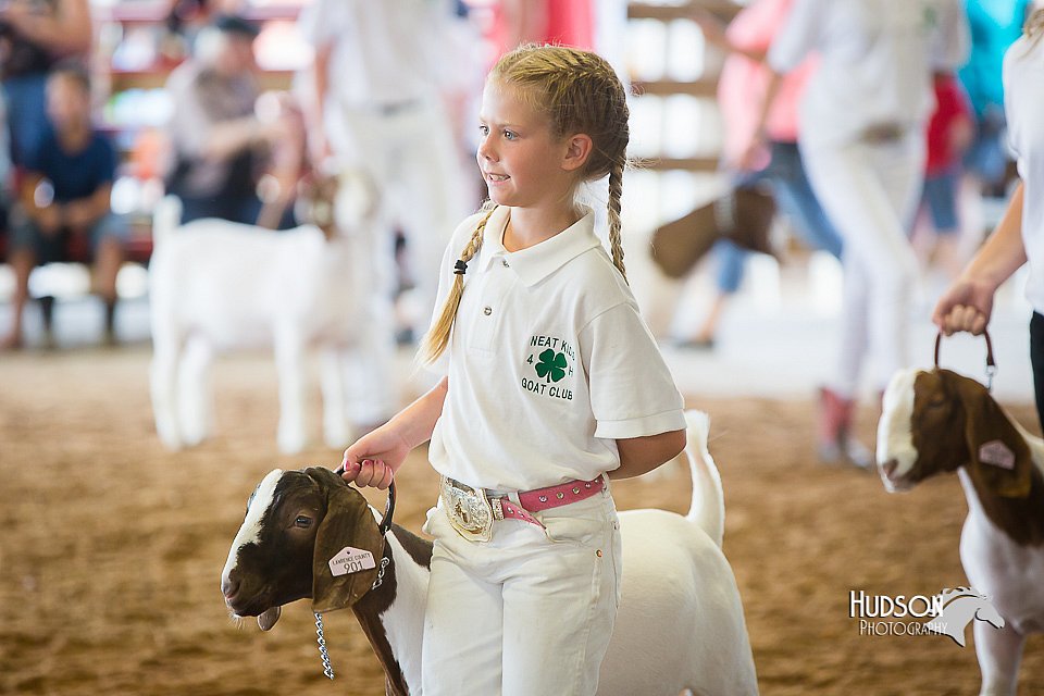LCFair2016-1500.jpg