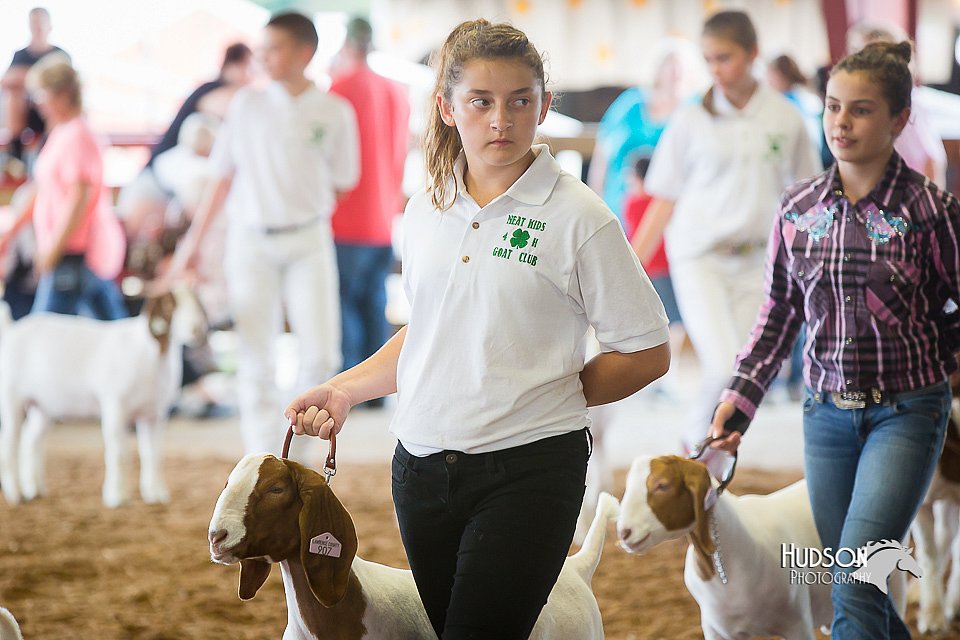 LCFair2016-1501.jpg