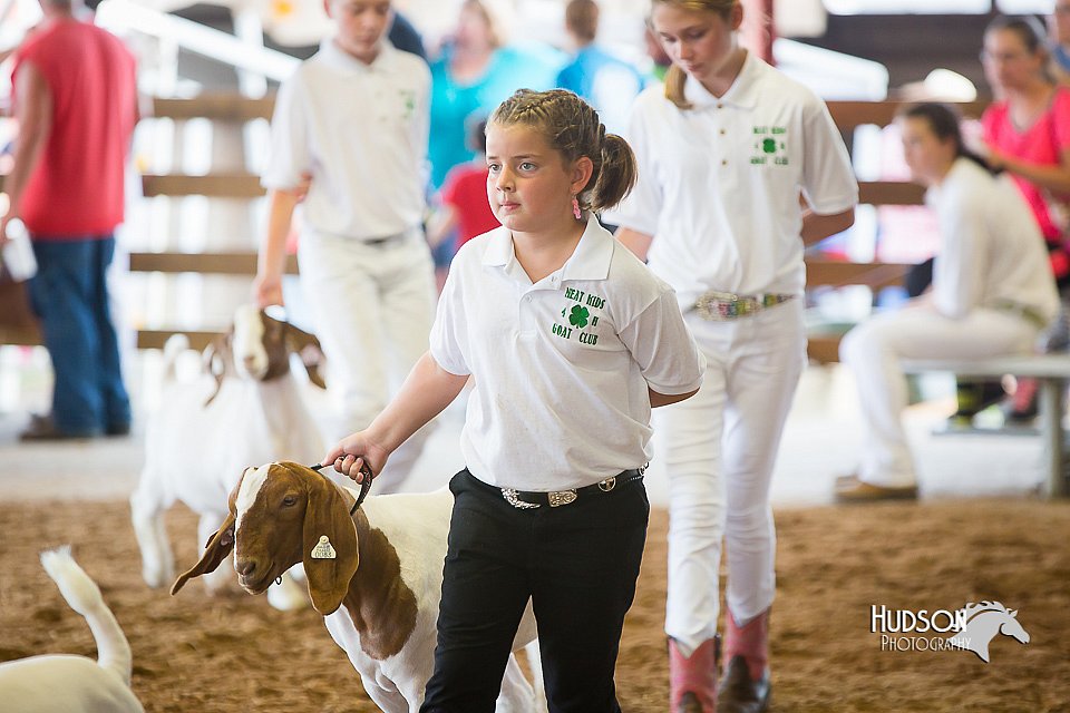 LCFair2016-1503.jpg