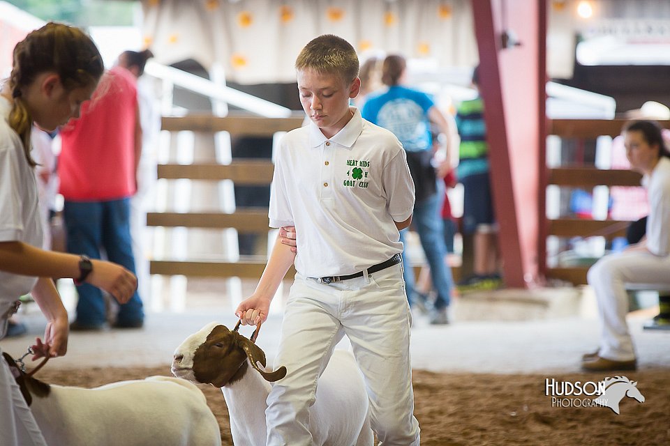 LCFair2016-1505.jpg
