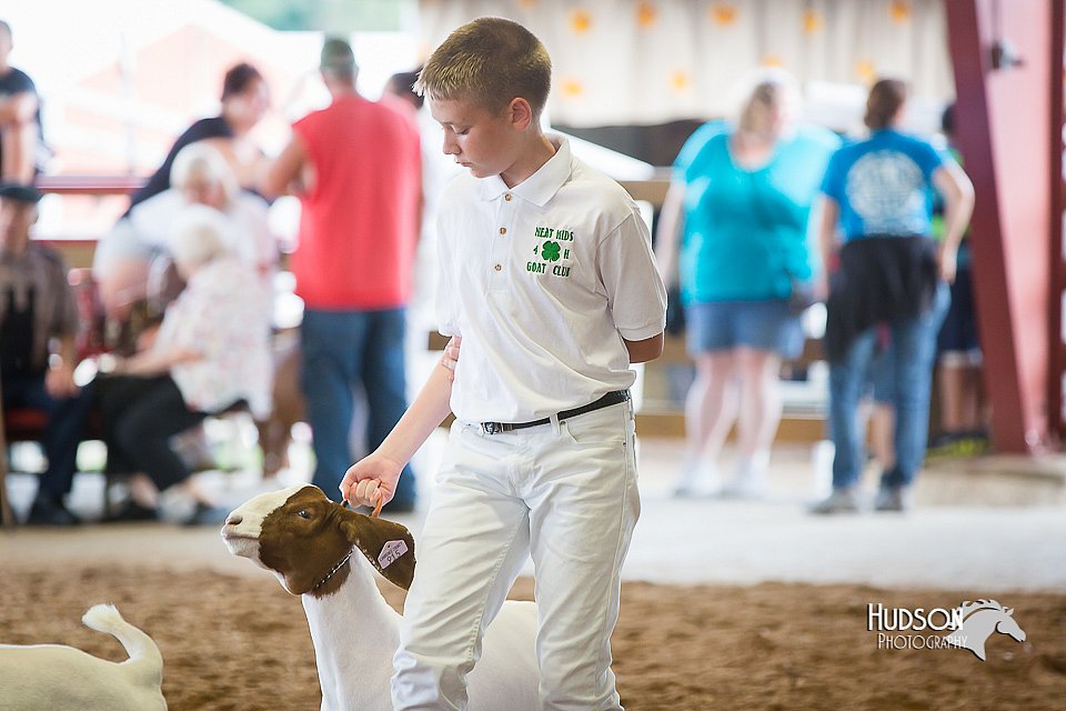 LCFair2016-1506.jpg