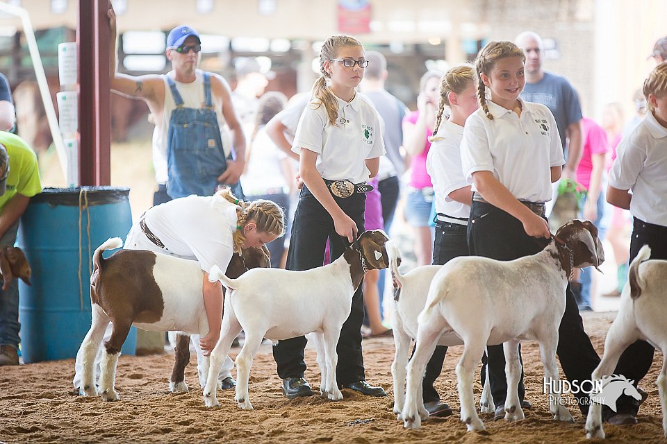 LCFair2016-1510.jpg