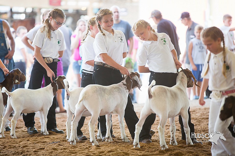 LCFair2016-1511.jpg