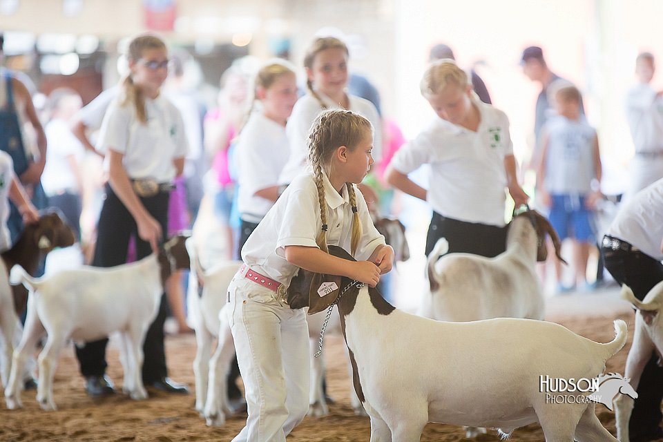 LCFair2016-1512.jpg