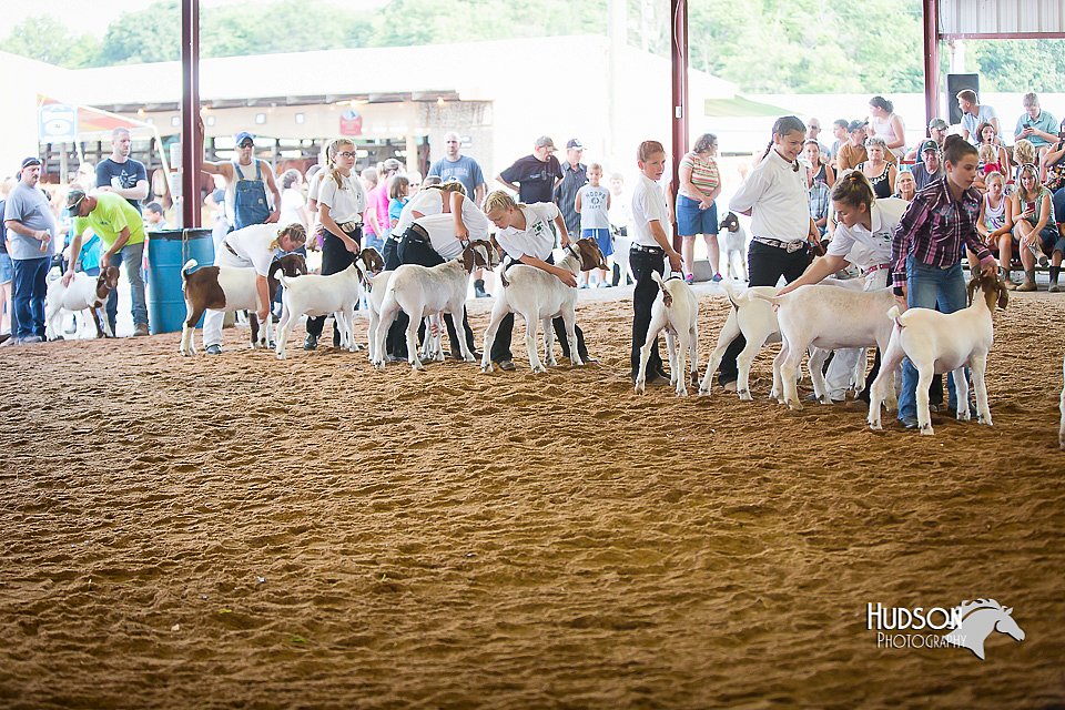 LCFair2016-1513.jpg