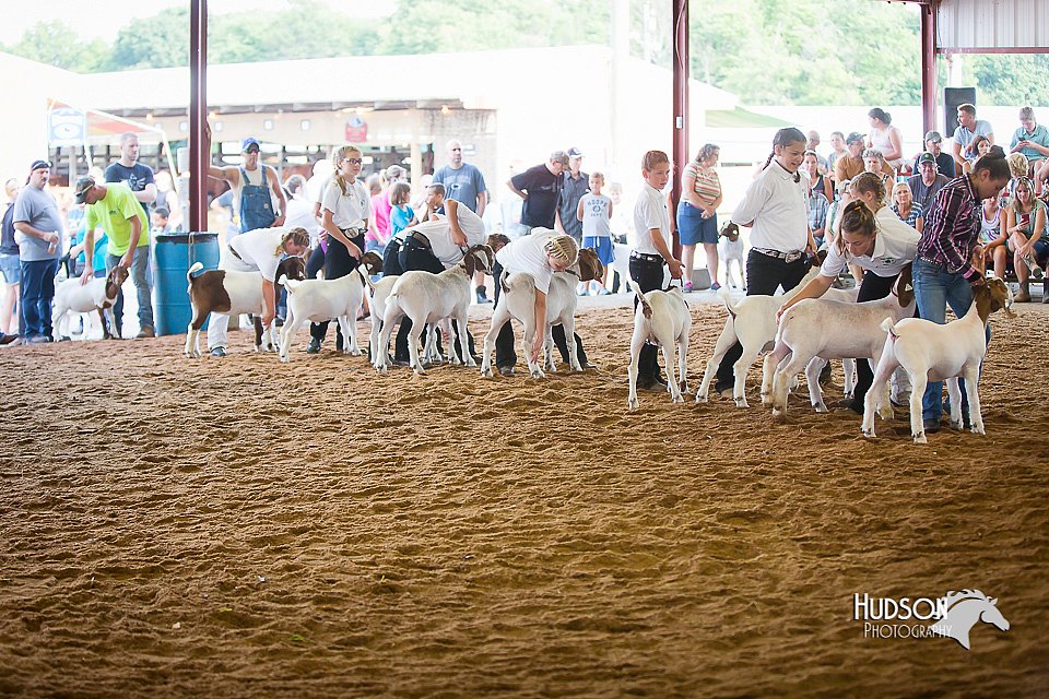 LCFair2016-1514.jpg