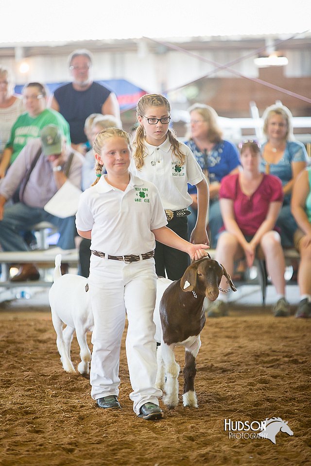 LCFair2016-1515.jpg