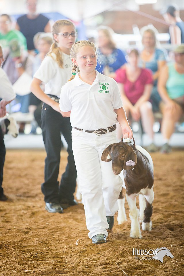 LCFair2016-1516.jpg