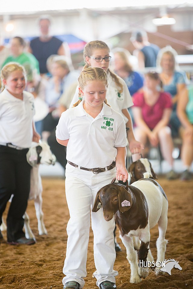 LCFair2016-1517.jpg