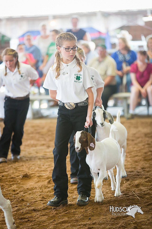 LCFair2016-1518.jpg