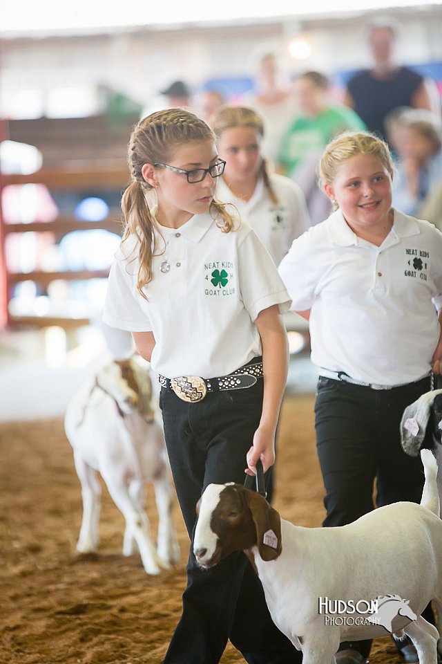 LCFair2016-1519.jpg