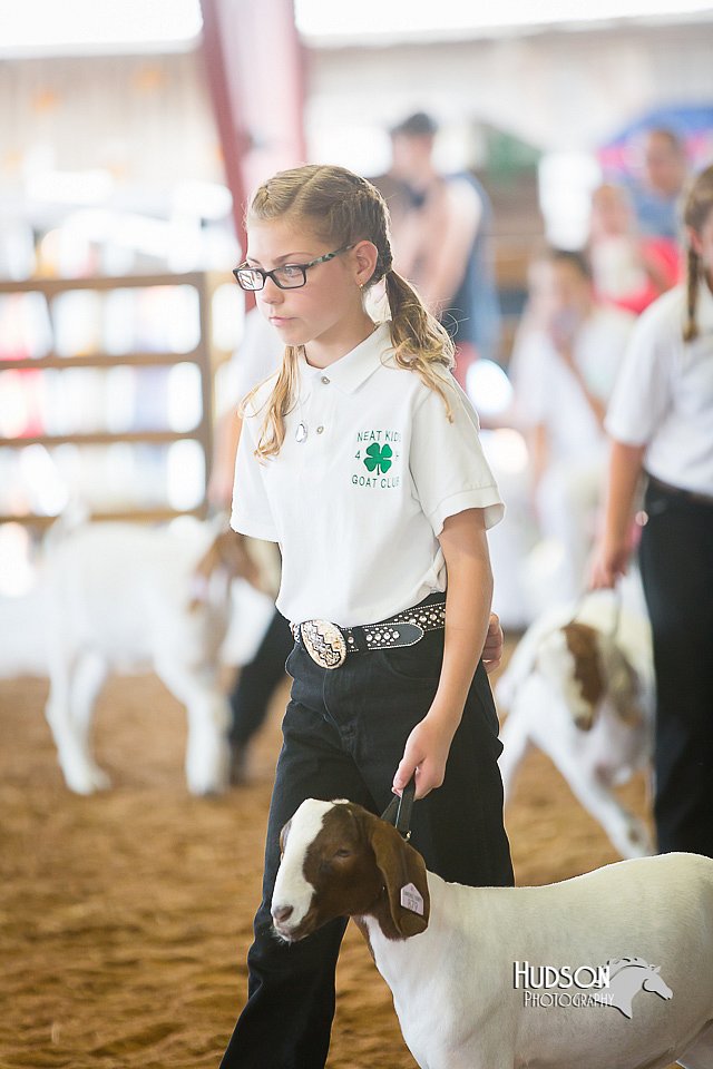 LCFair2016-1520.jpg