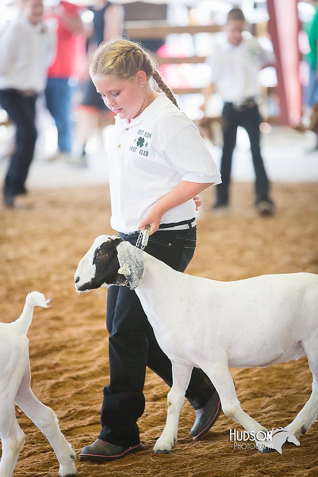 LCFair2016-1522.jpg