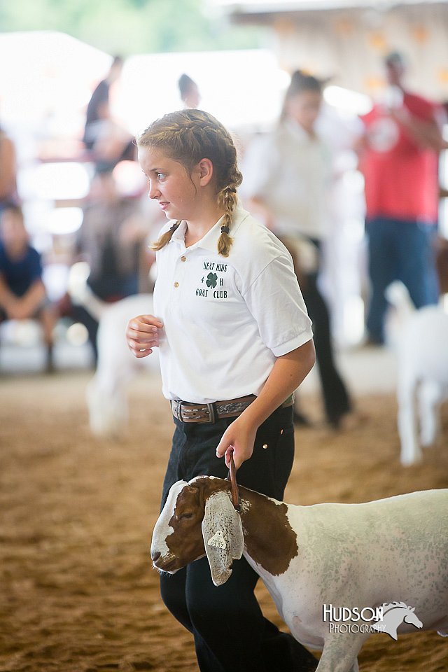 LCFair2016-1524.jpg