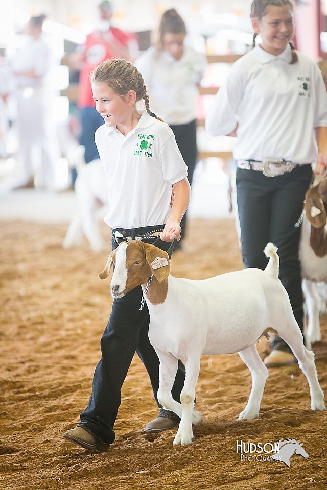 LCFair2016-1526.jpg