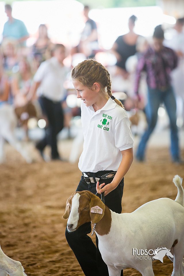 LCFair2016-1527.jpg