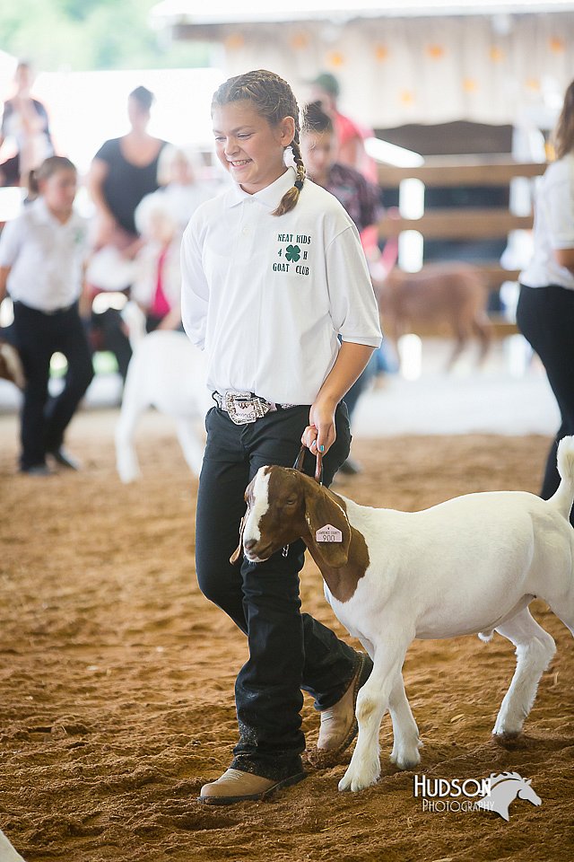 LCFair2016-1528.jpg
