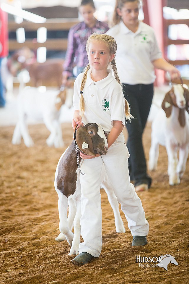 LCFair2016-1529.jpg