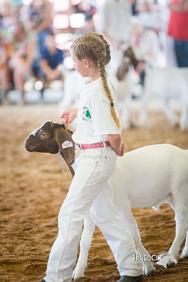 LCFair2016-1530.jpg