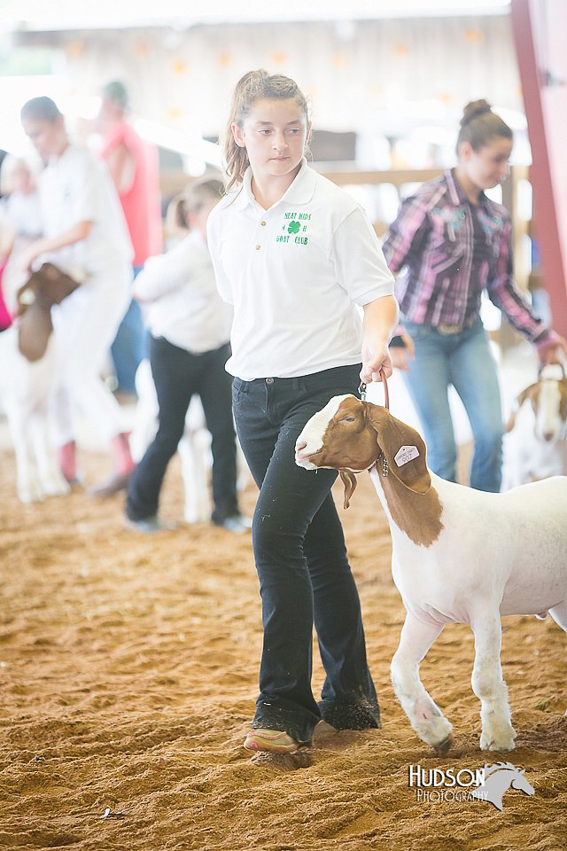 LCFair2016-1531.jpg